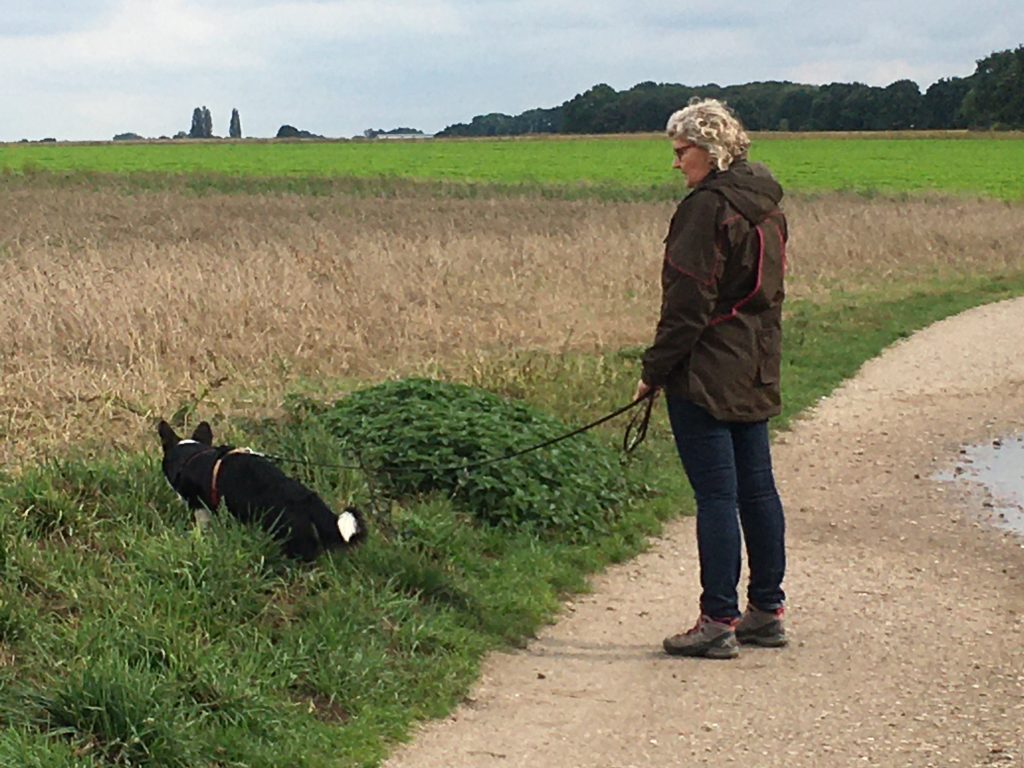 Wandeling op De Kollenberg